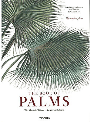 The Book Of Palms