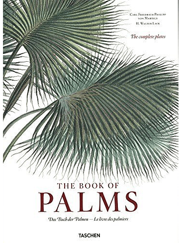The Book Of Palms 1