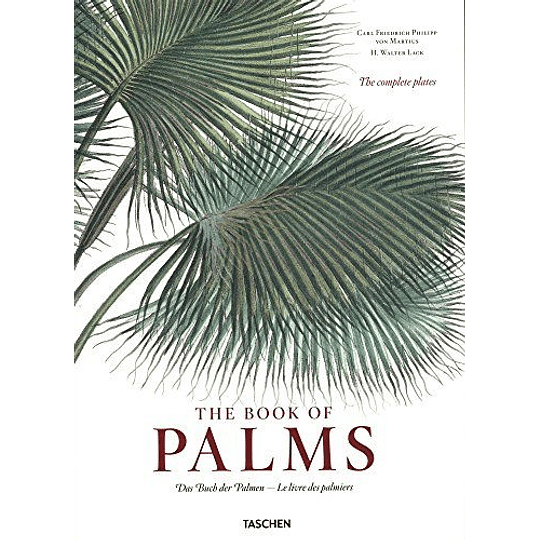 The Book Of Palms