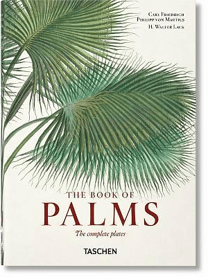 The Book Of Palms