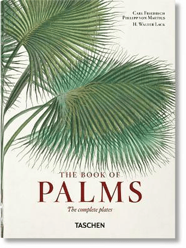 The Book Of Palms 1