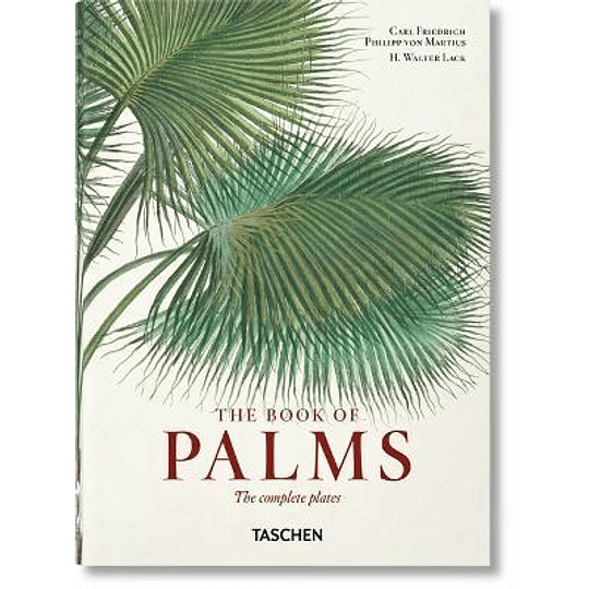 The Book Of Palms