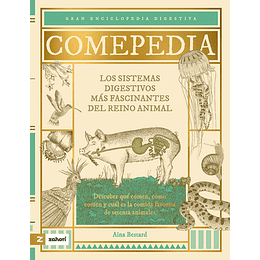 Comepedia Los Sistemas Digestivos Mas Fascinantes Del Reino Animal