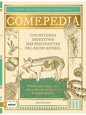 Comepedia Los Sistemas Digestivos Mas Fascinantes Del Reino Animal