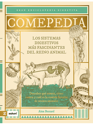 Comepedia Los Sistemas Digestivos Mas Fascinantes Del Reino Animal 1