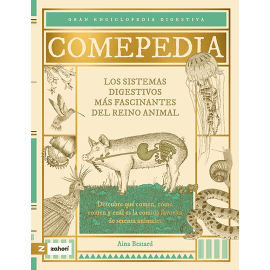 Comepedia Los Sistemas Digestivos Mas Fascinantes Del Reino Animal