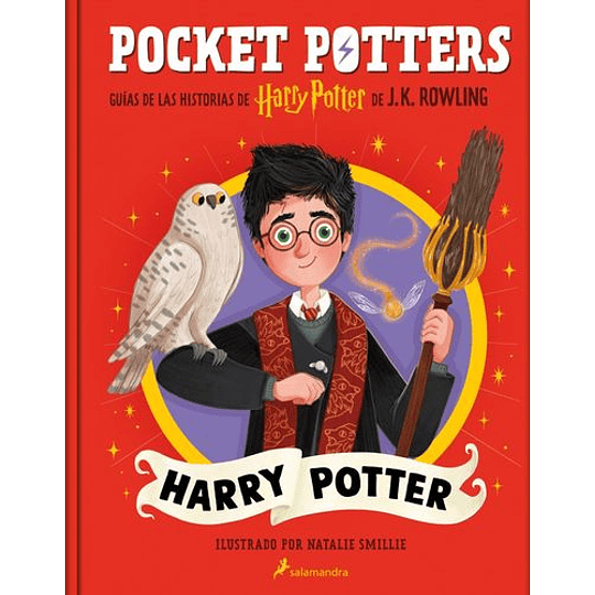 Pocket Potters Harry Potter 