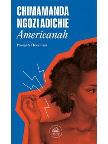 Americanah 1