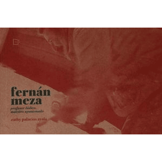 Fernan Meza Profesor Ludico Maestro Apasionado