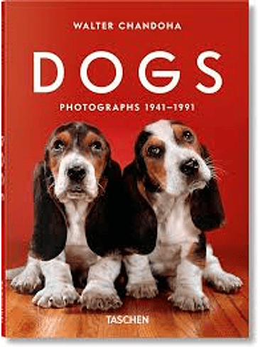 Dogs Photographs 1941 1991 1