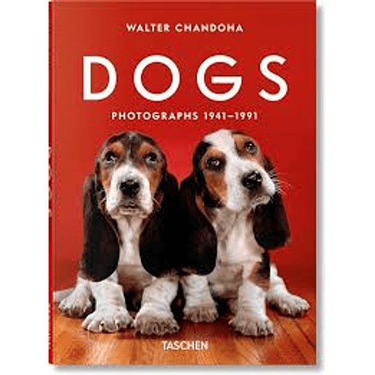 Dogs Photographs 1941 1991