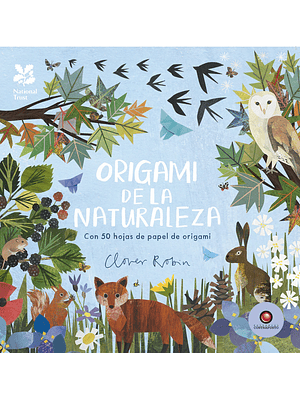 Origami De La Naturaleza