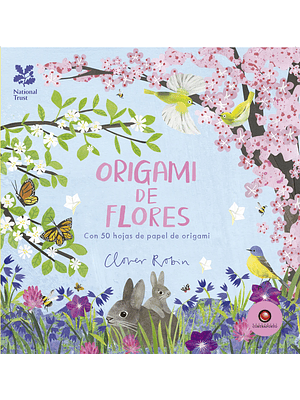 Origami De Flores 