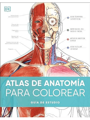 Atlas De Anatomia Para Colorear	