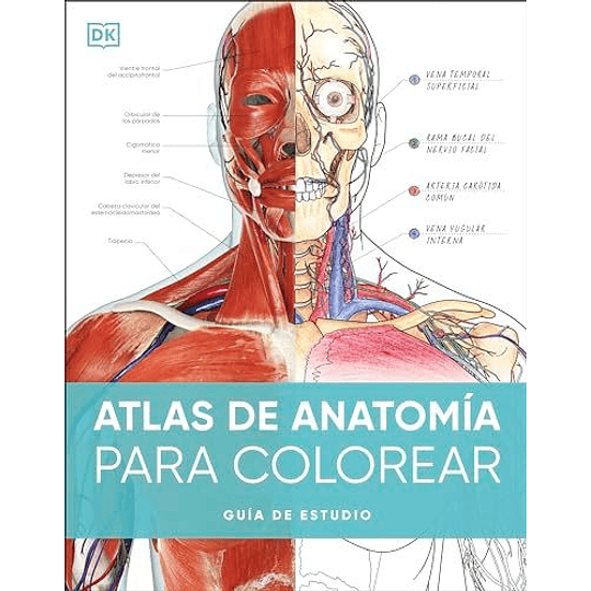 Atlas De Anatomia Para Colorear	