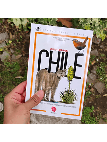 Guia Rapida Funga Flora Fauna De Chile 1