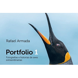 Portafolio 1 Fotografias E Historias De Aves Extraordinarias