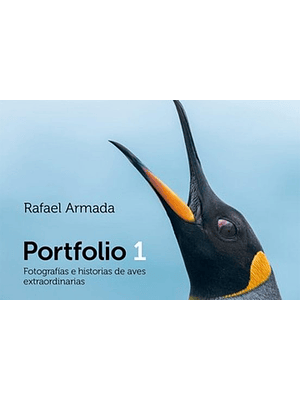 Portafolio 1 Fotografias E Historias De Aves Extraordinarias