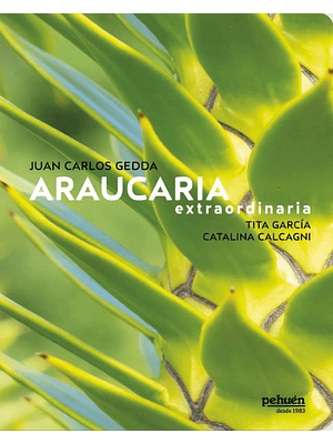 Araucaria Extraordinaria