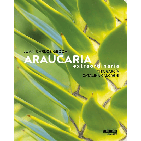 Araucaria Extraordinaria
