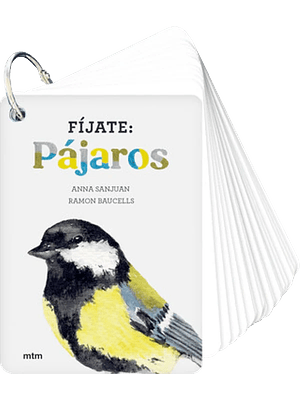 Fijate Pajaros