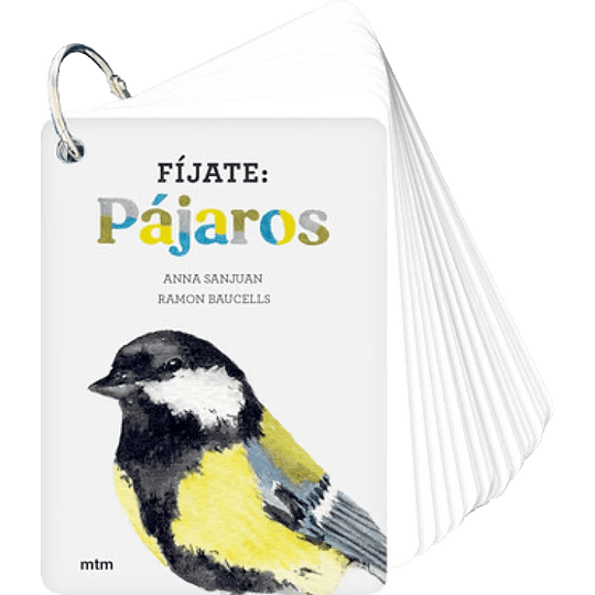 Fijate Pajaros