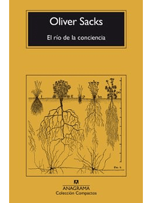 Rio De La Conciencia, El