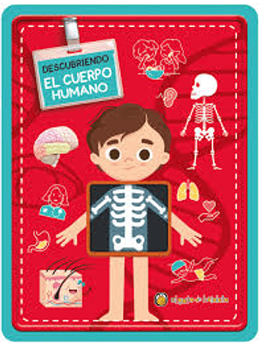 Rompecabezas Descubriendo El Cuerpo Humano 1