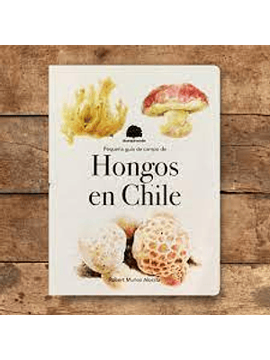 Pequeña Guia De Campo De Hongos En Chile
