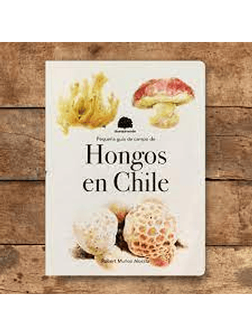 Pequeña Guia De Campo De Hongos En Chile 1