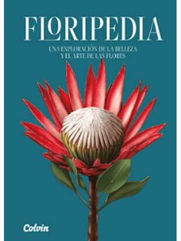 Floripedia 1
