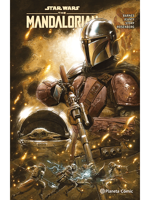 Star Wars The Mandalorian