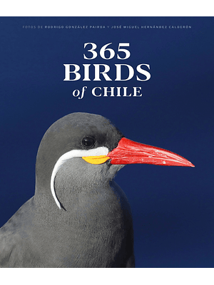 365 Birds Of Chile
