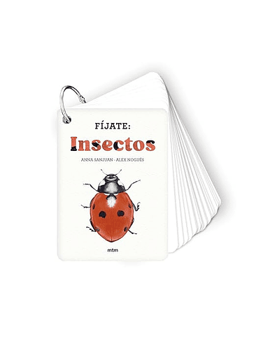 Fijate Insectos 1