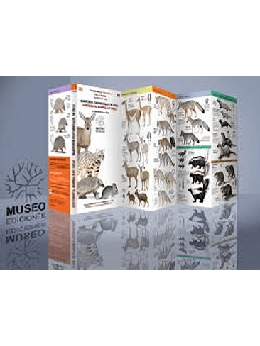 Mamiferos De Chile Guia De Campo 1