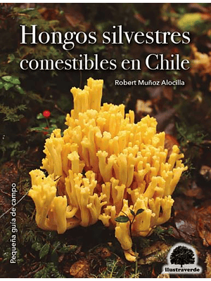 Hongos Silvestres Comestibles En Chile