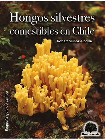 Hongos Silvestres Comestibles En Chile 1