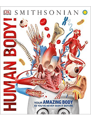 Human Body Smithsonian