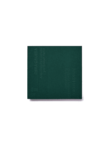 Obra Gruesa. Arquitectura Ilustrada Por Smiljan Radic 1