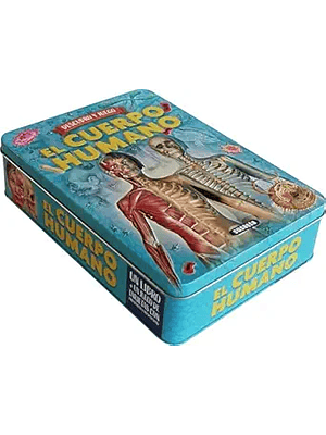 Descubro Y Juego El Cuerpo Humano