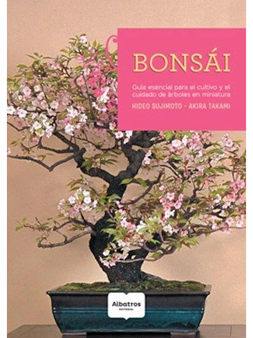 Bonsai 1