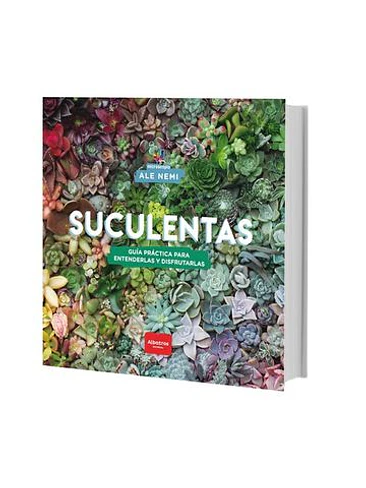 Suculentas 1