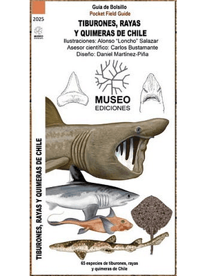 Guias Tiburones Rayas Y Quimeras De Chile