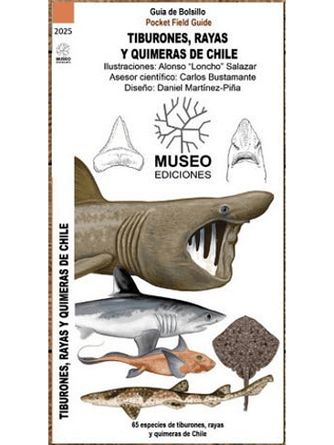 Guias Tiburones Rayas Y Quimeras De Chile 1
