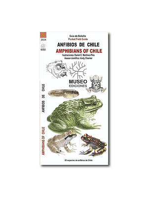 Guia Anfibios De Chile 