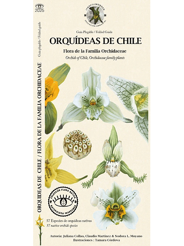 Guia Orquideas De Chile 1