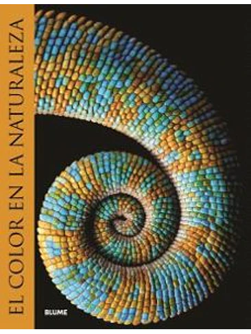 Color En La Naturaleza 1