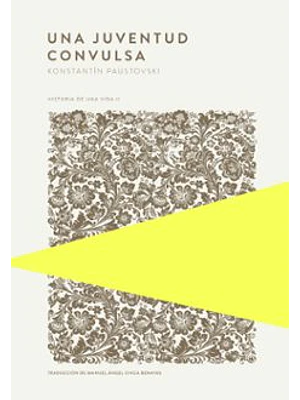 Una Juventud Convulsa Historia De Una Vida Ii