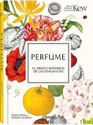 Perfume 1
