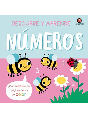 Descubre Y Aprende Numeros (Bb)